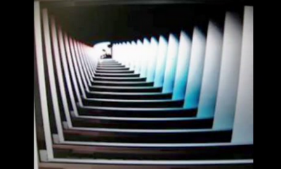 2012: JAMES KENT – “Psychedelic Information Theory: Mapping the Limits of Human Perception and Imagination”